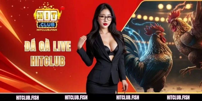 đá gà live Hitclub